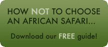 How NOT to choose an African safari! Download our free PDF guide.
